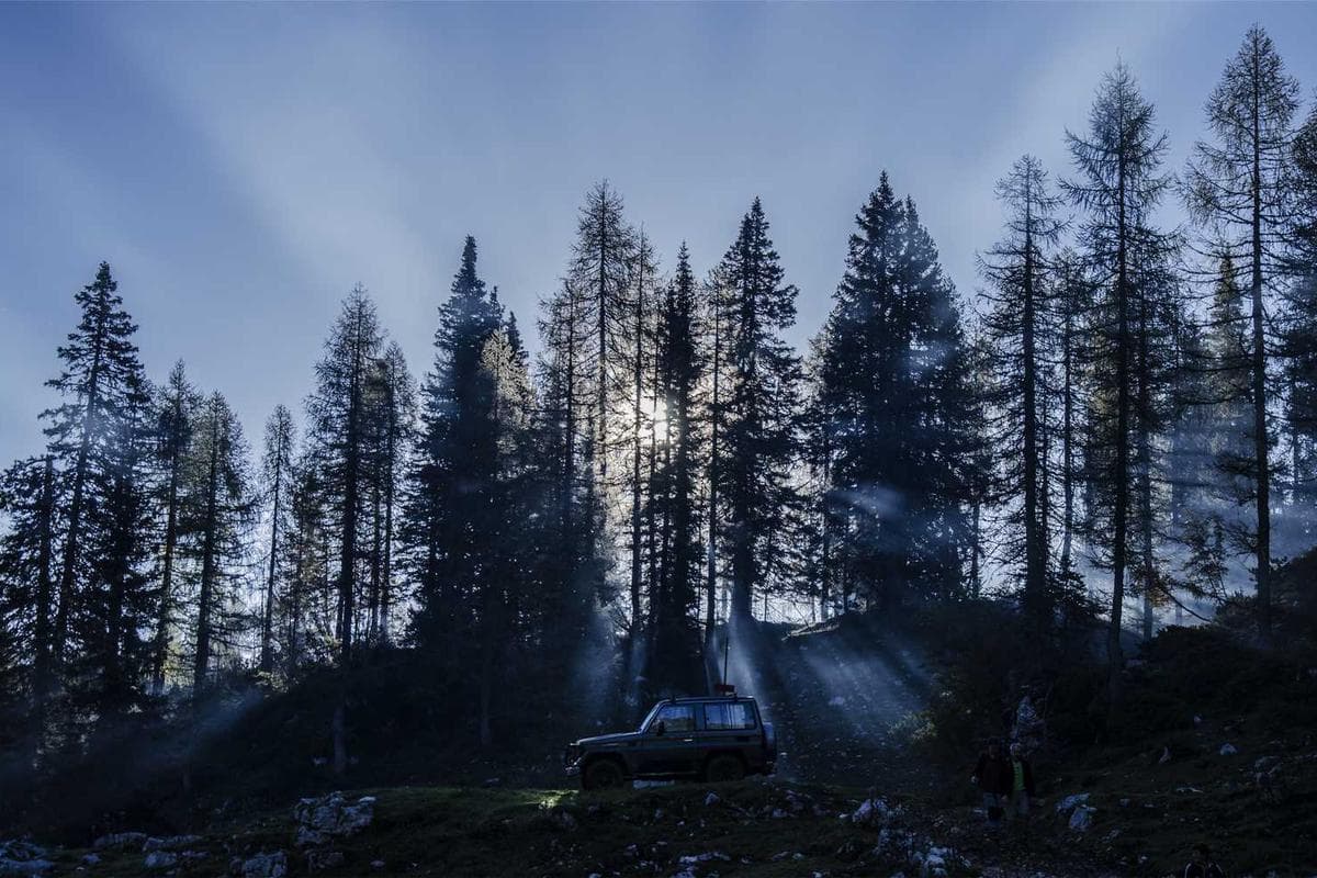 Divya Farm and Partyplot - Image 1